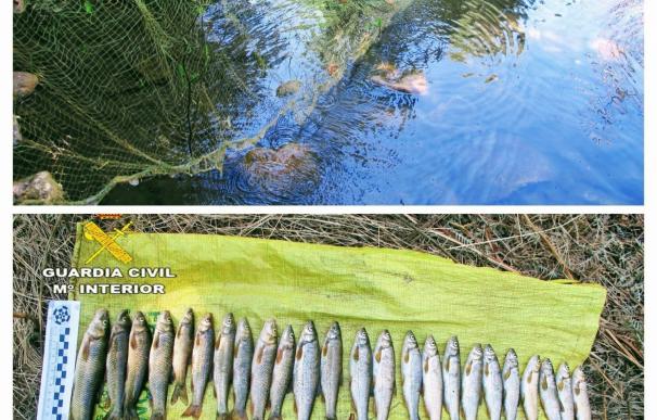 Sorprenden a una persona que usaba artes "prohibidas" para la pesca en un río en Castañar de Ibor