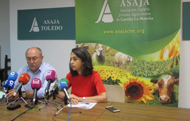 Asaja CLM presentará por escrito a la Junta y AICA las "irregularidades" que se están cometiendo en el precio de la uva
