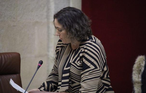 María Carmen Pérez, elegida nueva coordinadora provincial de IU