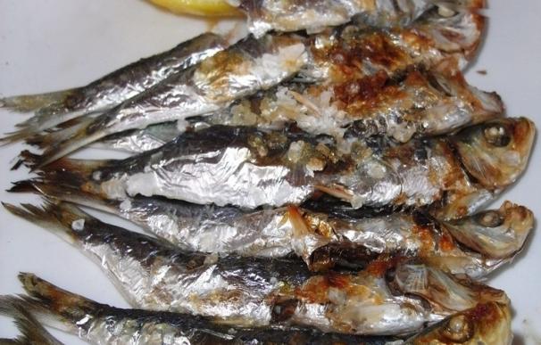 Uno de cada 3 pescados que se consumen en España están infectados con anisakis