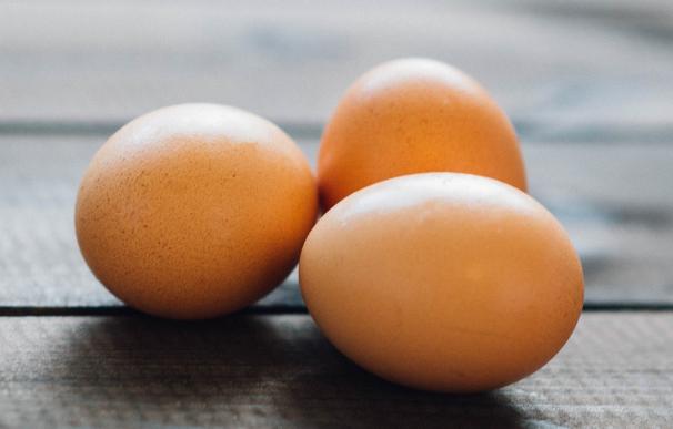Retirada en Cataluña una partida de huevos con fipronil procedentes de los Países Bajos que no se han comercializado