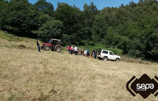 Un herido al quedar atrapado por su tractor en Trasperana (Las Regueras)
