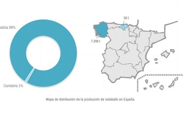 Galicia copa un año más la producción de rodaballo en España, con un precio que repunta un 17%