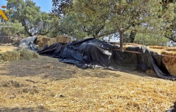 Recuperan en una finca de Zahínos (Badajoz) más de 200 pacas de heno sustraídas en explotaciones del municipio