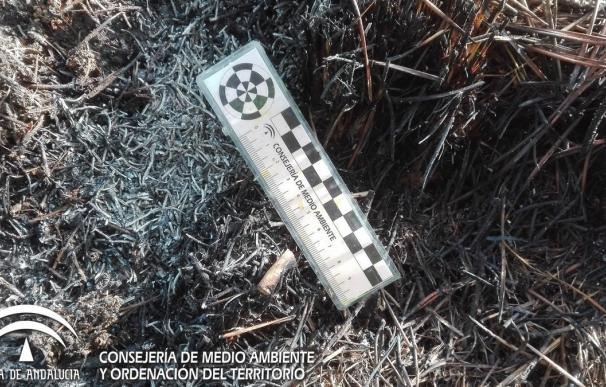 El incendio forestal declarado en Benahavís fue originado por una colilla, según Infoca