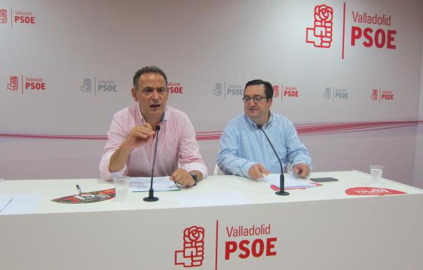 Vadillo aboga por "recuperar la unidad" del PSOE de Valladolid y aportar votos para que Sánchez presida el Gobierno