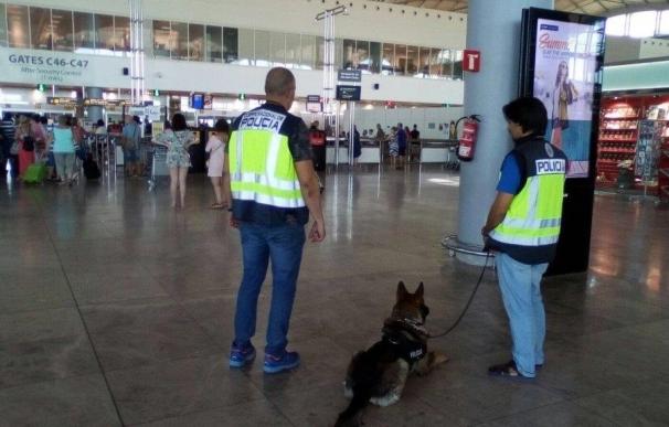 Detenido un hombre que se hacía pasar por trabajador del aeropuerto para robar en las maletas