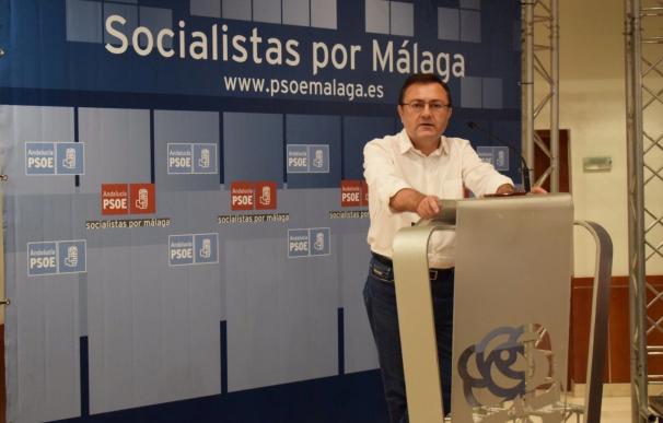 El PSOE dice que en Marbella ha prosperado una moción de censura "con un oscuro trasfondo de intenciones"