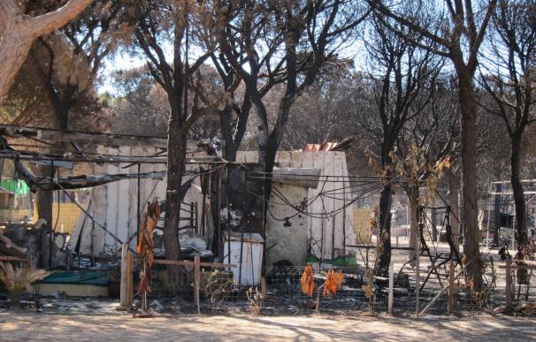 Cs reclama a la Junta información sobre la repoblación de la superficie calcinada por el incendio de Moguer