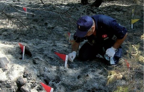 El 40% de los 233 incendios forestales investigados este año por la Generalitat son provocados