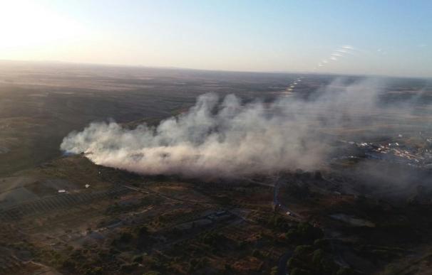El Infoca da por estabilizado el incendio forestal declarado en Bonares