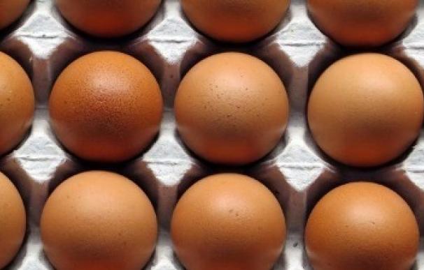 La partida de huevos con 'fipronil' retirada en Catalunya era de una empresa de Barcelona