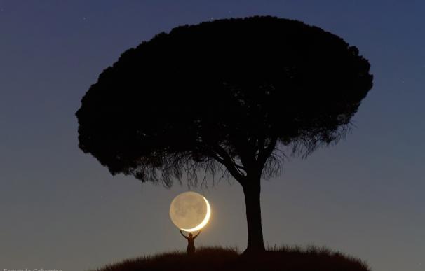 Un vallisoletano logra el tercer premio en un concurso internacional de fotografía nocturna con una imagen de un pino