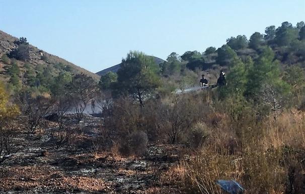 Bomberos del CEIS apagan un conato de incendio forestal en Almendricos (Lorca)