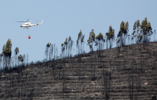 El PP pide medidas "inmediatas" para ayudar a afectados por el incendio de El Castillo de las Guardas de 2016