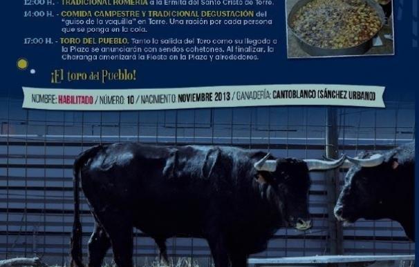 ANPBA pide a la Junta que revoque el festejo del 'toro enmaromado' de Astudillo (Palencia)