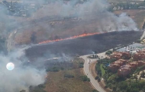 Controlado el incendio forestal en el paraje Haza del Mojón de Benahavís