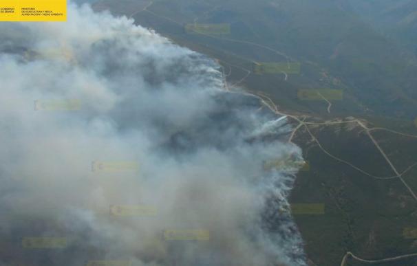 Medio Ambiente envía once medios aéreos a los incendios de Fanlo (Huesca) y Encinedo (León)
