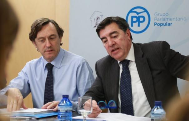 El PP critica el Pleno de mañana con Rajoy sobre Gürtel por ser un "juicio político" con las conclusiones ya redactadas