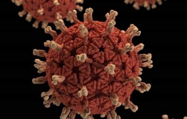 El impacto de la gastroenteritis infantil por rotavirus es "elevado" en Gipuzkoa, según un estudio de UPV/EHU