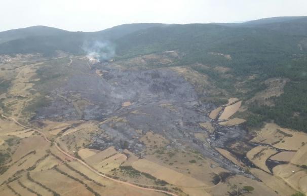 Estabilizado el incendio que ha arrasado 60 hectáreas de monte y cultivos en Bronchales (Teruel)
