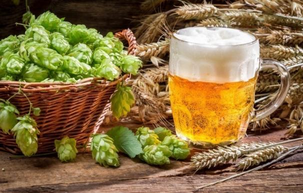 Cerveceros de España respalda el acuerdo entre cultivadores de lúpulo español y Hopsteiner España