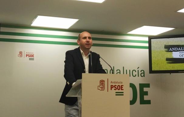 El PSOE-A insiste en que Javier Arenas es el "muñidor" de la moción de censura en Marbella