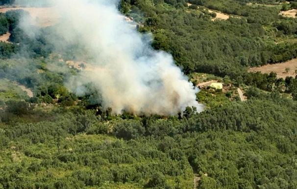Se declara un conato de incendio en Breña Alta (La Palma)