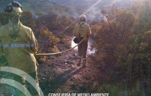 Estabilizado el incendio forestal en Puerto de la Torre, en Málaga capital