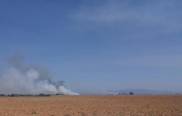 Siguen trabajando en la extinción del fuego agrícola de La Pueblanueva (Toledo)