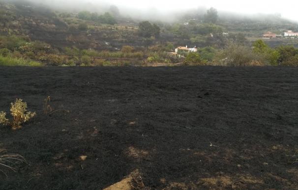 Unos 104 efectivos y 5 helicópteros forman este sábado el dispositivo de extinción del fuego en Gran Canaria