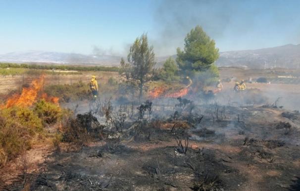El Infoca da por controlado el incendio forestal de Padul