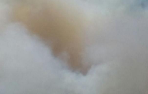 El incendio de la cumbre de Gran Canaria alcanza las 1.000 hectáreas quemadas y avanza hacia Los Pechos