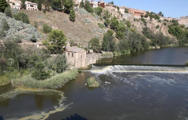 Plataforma de Toledo en Defensa del Tajo vuelve a manifestarse este sábado ante el estado "cadavérico" del río