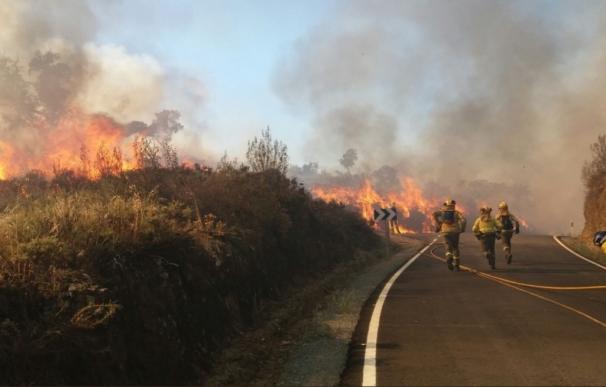 Declarado un incendio forestal en un paraje de La Nava