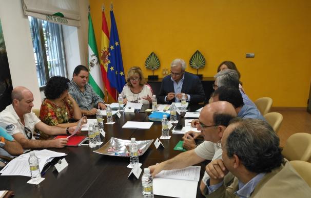 El Consejo de Salud de Área de Jaén aborda la renovación en Atención Primaria y las listas de espera