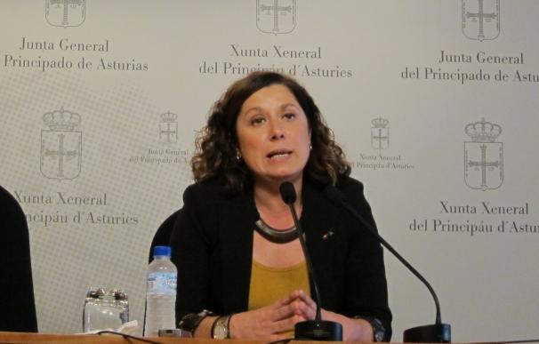 "No podemos aceptar esas imputaciones", dice el PSOE sobre el dictamen de la comisión de listas de espera