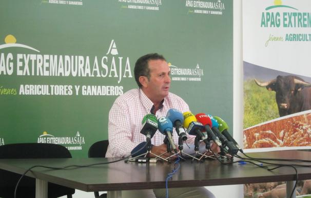 APAG Extremadura Asaja se manifestará en la Feria de Zafra ante la "pasividad" de la Junta ante problemas fitosanitarios