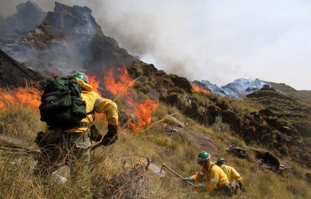 Casi toda Andalucía estará este sábado en riesgo "extremo" de incendio