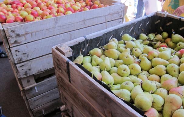 Los sindicatos agrarios insisten en retirar 40.000 toneladas de fruta para descongestionar el mercado