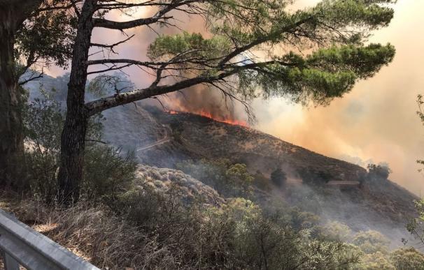 Desalojadas Cruz de Tejeda, Las Lagunetas, Cueva Grande y Calaretas y el incendio se extiende hacia Pico de Las Nieves