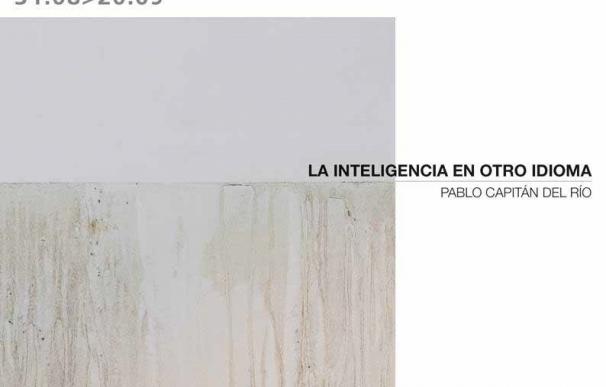 BilbaoArte abre la exposición de producción propia "La inteligencia en otro idioma"