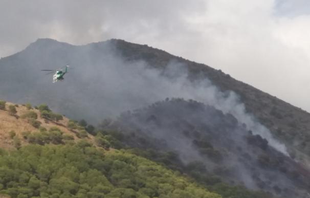 Bomberos forestales del Infoca trabajan en el incendio declarado en Mijas, que está estabilizado