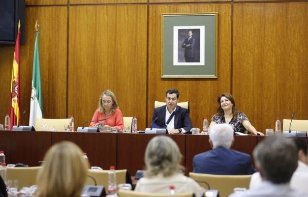 PP-A aprueba cambios en su grupo parlamentario con Patricia Navarro como portavoz de Infancia y Juan Bueno, de Fomento