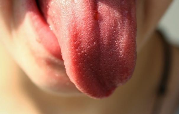 Hallan unas moléculas en la lengua responsables del sentido del gusto