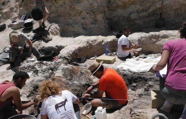 Promueven una excavación en el yacimiento de Baza 1, de unos cuatro millones de antigüedad