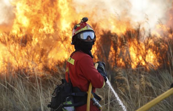 Las ONG dicen que la prevención "no funciona", después de que 2017 ya supere en terreno quemado a todo 2016