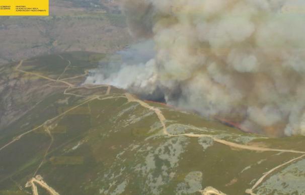 Medio Ambiente envía 10 medios aéreos al incendio forestal declarado en Encinedo (León)