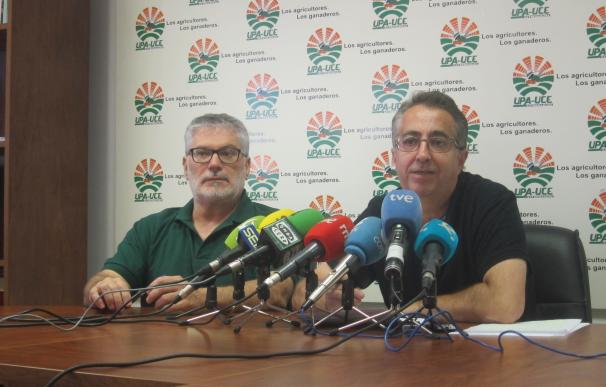 UPA-UCE Extremadura reclama que los contratos del pimentón se firmen en marzo y que se fije un precio para cubrir costes