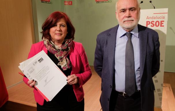 El PSOE traslada su apoyo a Juana Rivas y pide que el testimonio de su hijo mayor sea tenido en cuenta